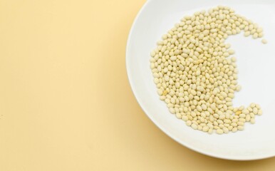 world vegetarian and vegan food day