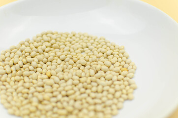 world vegetarian and vegan food day