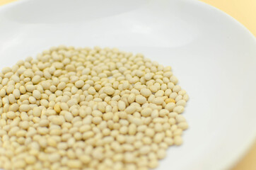 world vegetarian and vegan food day