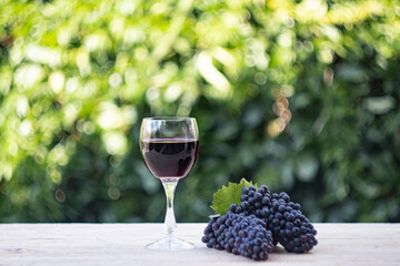 red wine and grapes on blur green background