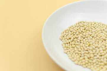 world vegetarian and vegan food day