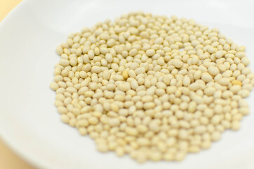 world vegetarian and vegan food day