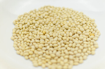 world vegetarian and vegan food day