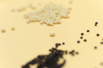 world vegetarian and vegan food day