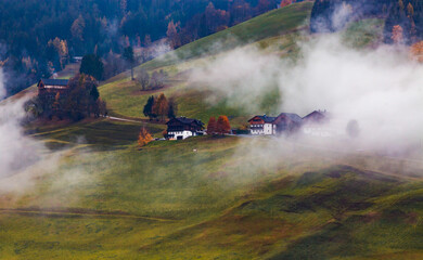 Fototapeta premium autumn landscape in Alpe de Siusi Sud Tyrol Italy