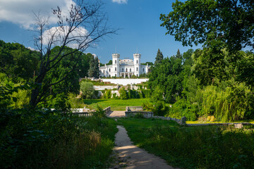 Fototapeta na wymiar Summer forest in Kharkiv region