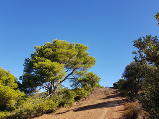 Paesaggio