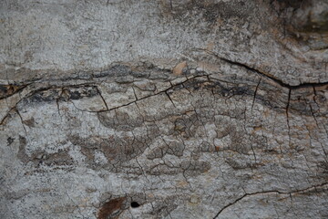 deformed wood texture