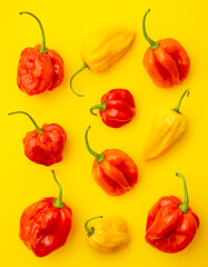 Chili pepper pattern viewed from above on a yellow background. Top view. Variety of paprika