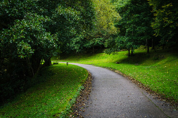 Fototapeta na wymiar A path among the green trees, Argyll, Scotland, United Kingdom