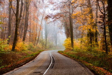 Naklejka na ściany i meble curvy road in beautiful foggy forest in autumn