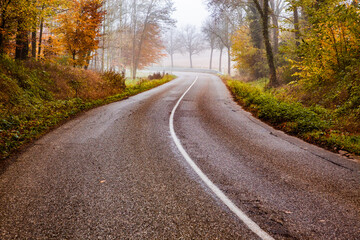 curvy road in beautiful foggy forest in autumn