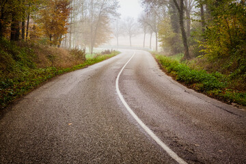 curvy road in beautiful foggy forest in autumn
