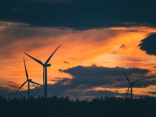 The new dawn of wind power
