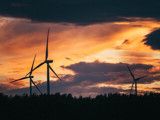 The new dawn of wind power