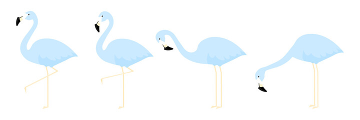 Flamingo blue in different poses cartoon set vector illustration isolated on white. Flamingo collection.