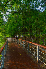 Wuhan city skyline scenery in summer, Hubei, China