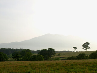 Fototapeta na wymiar 北海道の丘陵地帯