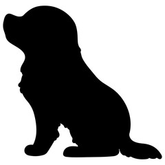 Silhouette of Cavalier King Charles Spaniel sitting in side view