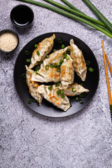 Fried dumplings Gyoza on a plate on a gray concrete background