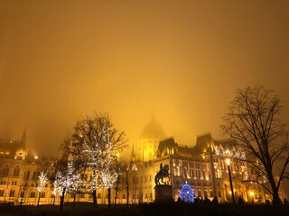 parliament building in budapest, christmas tree