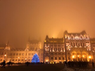Fototapeta na wymiar parliament building in budapest, christmas tree