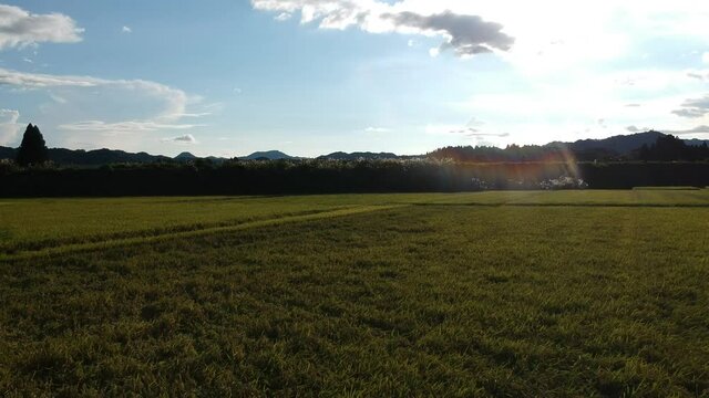 秋の田園風景　青空　空撮