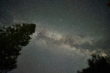 Astrophotography. Milky way in the night sky. Starry sky and dark silhouettes of trees.