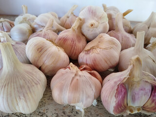 Alho, garlic