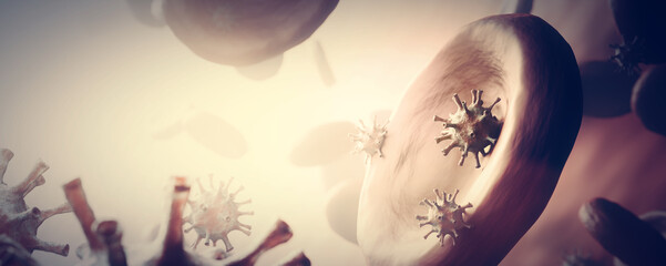 Obraz na płótnie Canvas Coronavirus Covid-19 attacking blood cells