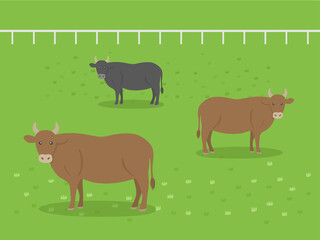 牧場にいる牛のイラスト
