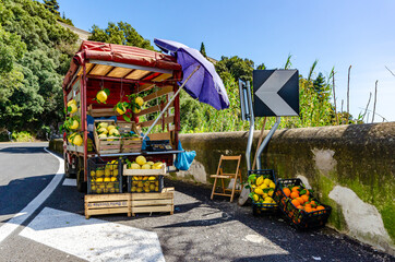 Amalfi Coast. Street vendor sells oranges and lemons along the coastal road of the Amalfi Coast with his little truck.