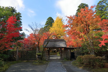 Autumn in YUFUIN
