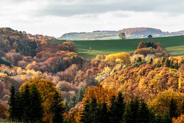 Fototapeta na wymiar Beautiful orange and red autumn forest, many trees on the orange hills germany rhineland palantino