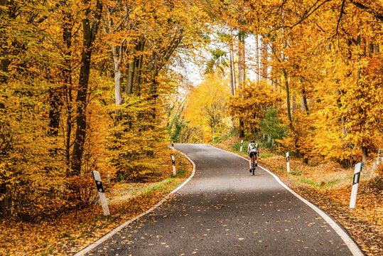 cyclist biker on a winding road with loose fall leaves through autumn trees in germany rhineland palantino