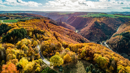 Beautiful orange and red autumn forest, many trees on the orange hills germany rhineland palantino