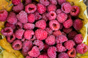 Ripe raspberries in a basket on the table.