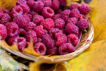 Ripe raspberries in a basket on the table.