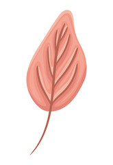 Isolated autumn leaf vector design