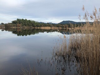 Lac des Escarets, Le Cannet des maures