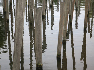 wooden poles and their reflection in the water