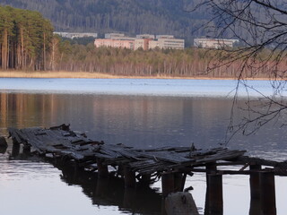 reflection of trees in the lake