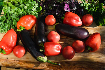 Farm tomatoes, bell peppers, eggplants and greens lie on a wooden surface. Concept of biological, bio products, bio ecology, grown by yourself, vegetarians