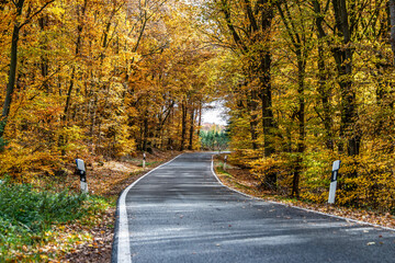 Fototapeta na wymiar A winding road with loose fall leaves through autumn trees in germany rhineland palantino