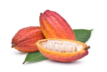 Fresh cocoa fruits with half sliced and green leaf isolated on white background with clipping path