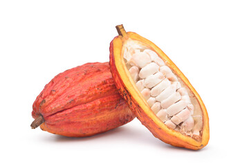 Fresh cocoa fruits with half sliced and isolated on white background with clipping path