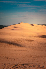 Fototapeta na wymiar The great Dune of Pilat, highest dune of Europe at Arcachon, Aquitanie, France.