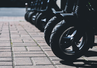 Electric scooters stand in a row on the road in a park area. Modern transport for recreation and...