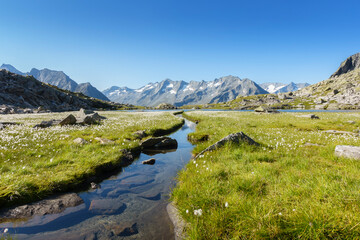 See in den Bergen mit Wollgras und Gebirge mit Gletscher im Hintergrund in Tirol