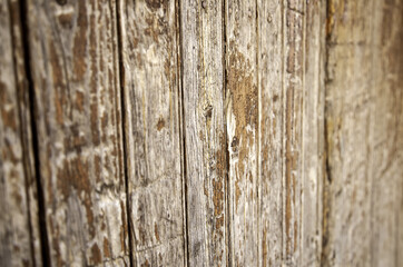 Wood wall texture